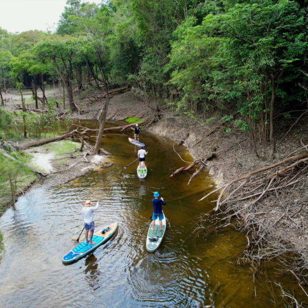 TOURING 12.6 WNB WOOD DESIGN ohne Tasche