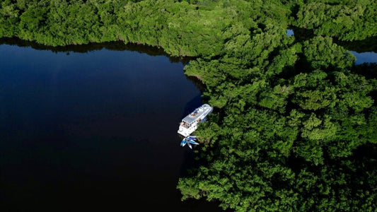 Find det rigtige SUP-bræt – vi kan hjælpe dig!