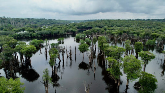 Eine 9-tägige Amazonas SUP Adventure Tour